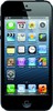 Apple iPhone 5 16GB - Березники